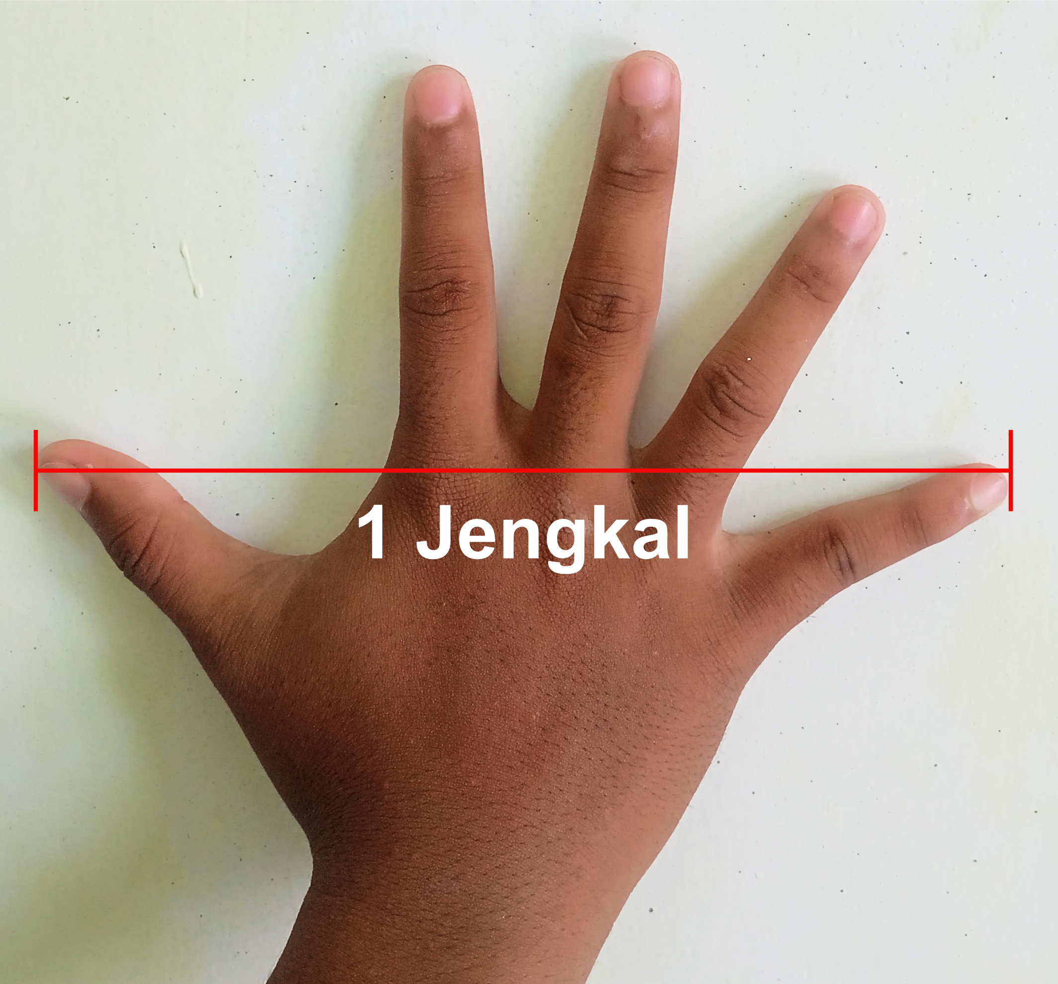 gambar jengkal
